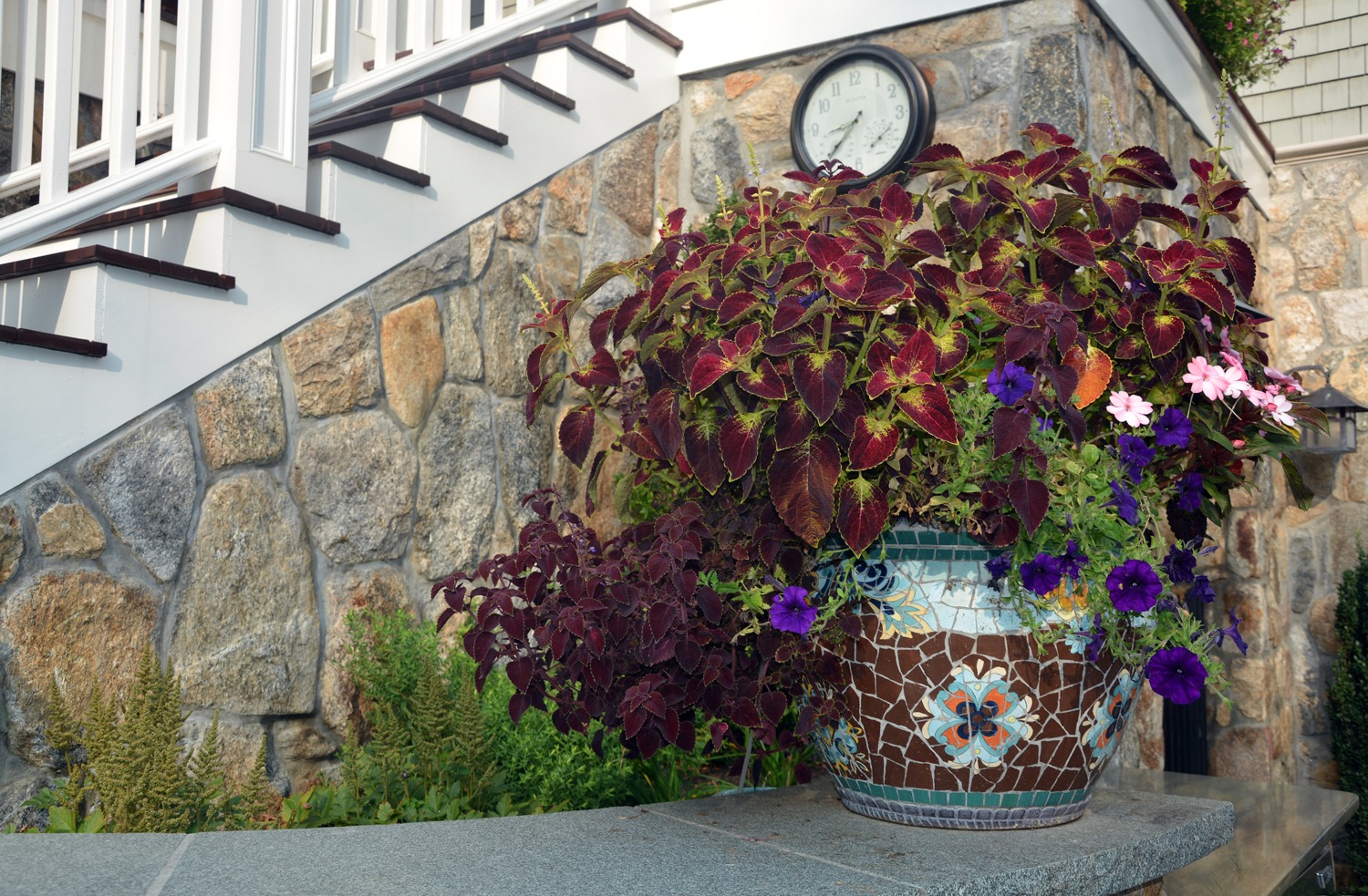 A vibrant flowerpot with red and purple foliage sits by stone stairs; an outdoor clock hangs above. The setting suggests a well-maintained home entrance.