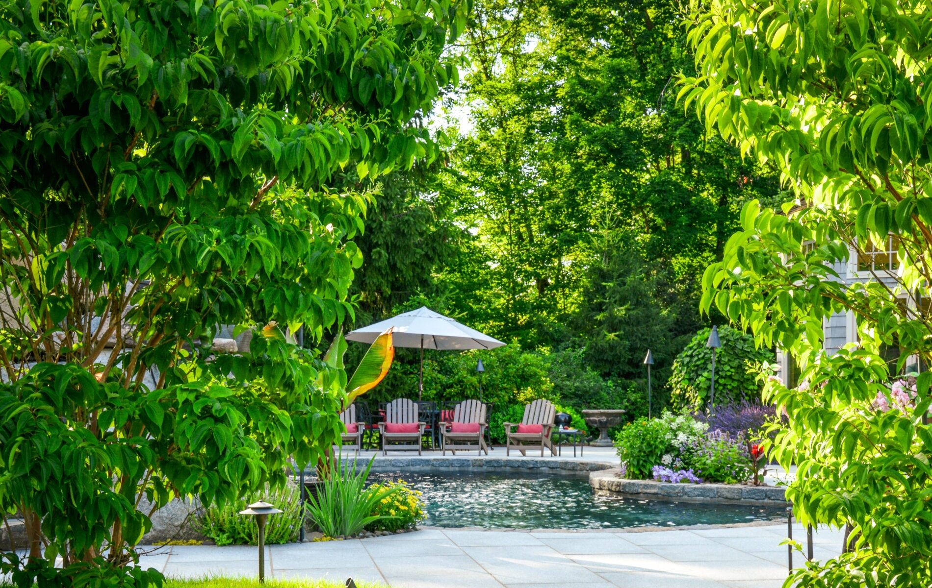 A tranquil garden setting featuring a swimming pool, lounge chairs under an umbrella, lush greenery, landscaped plants, and a paved walkway bathed in sunlight.