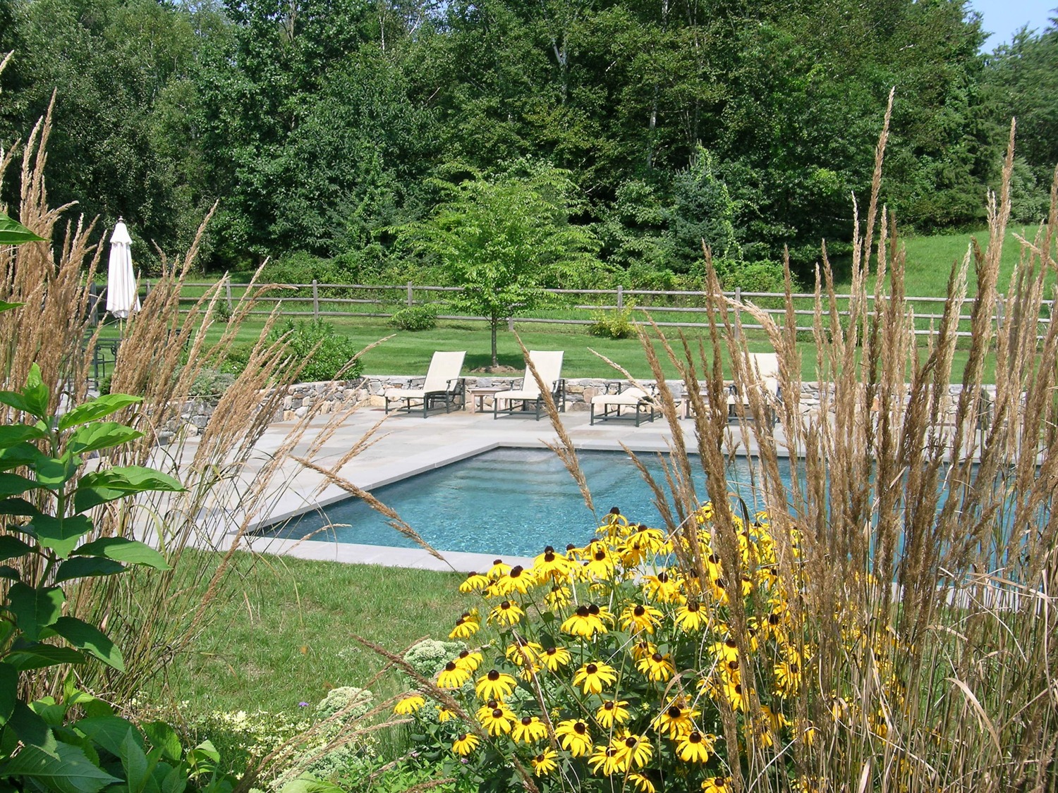 The image shows an outdoor swimming pool with lounge chairs, surrounded by greenery, flowers, and a fence, under a clear blue sky.