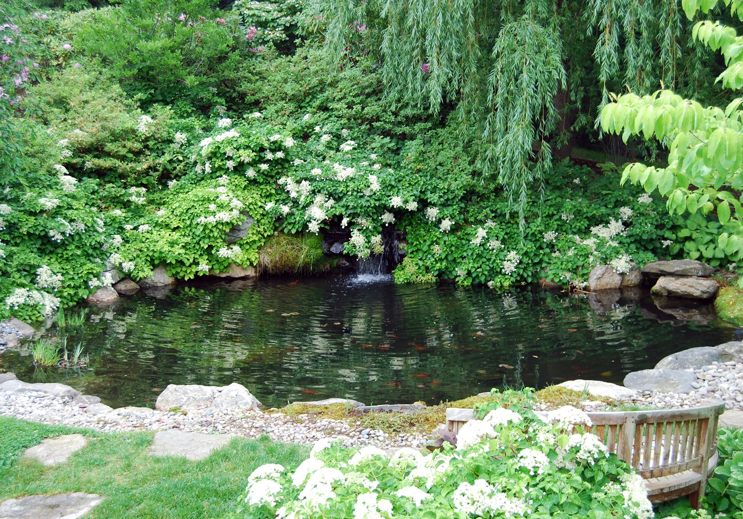 A serene garden pond surrounded by lush vegetation, with a small waterfall, flowering shrubs, a wooden bench, and stones along the water's edge.