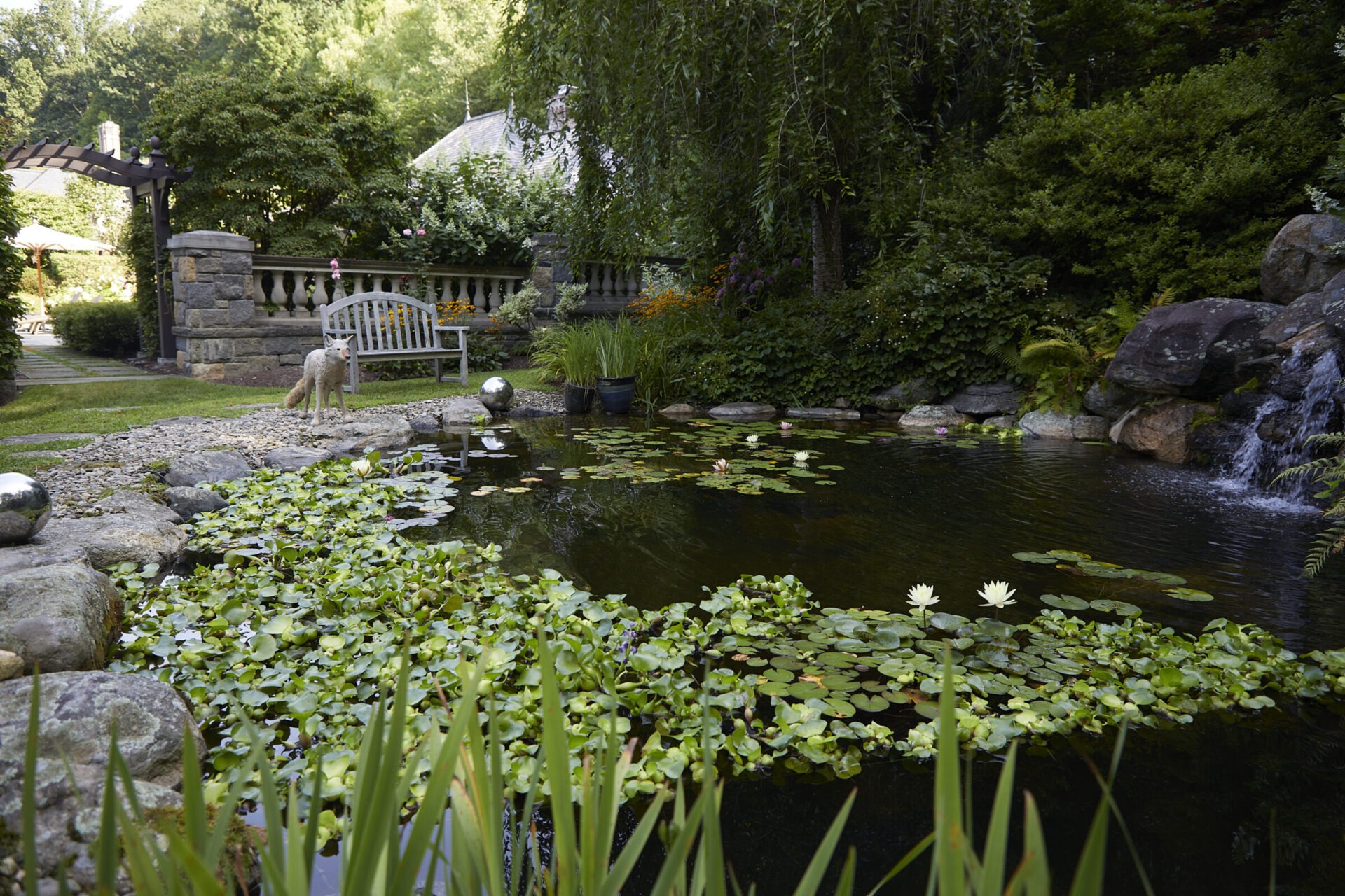 A tranquil garden with a pond full of water lilies, a waterfall, a dog standing on rocks, foliage around, and a garden bench in the background.