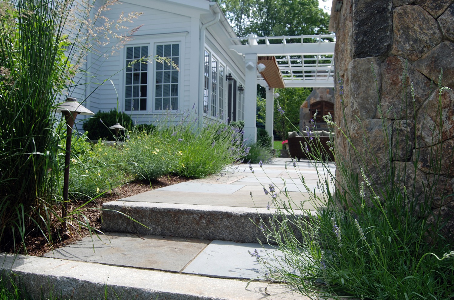 A stone pathway leads through a garden towards a white house with a pergola. Lavender and grasses border the path, with a sunny blue sky above.
