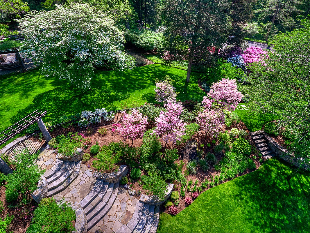 A lush garden with vibrant flowering shrubs, a well-manicured lawn, stone steps, and a quaint wooden fence bathed in sunlight, exuding tranquility.