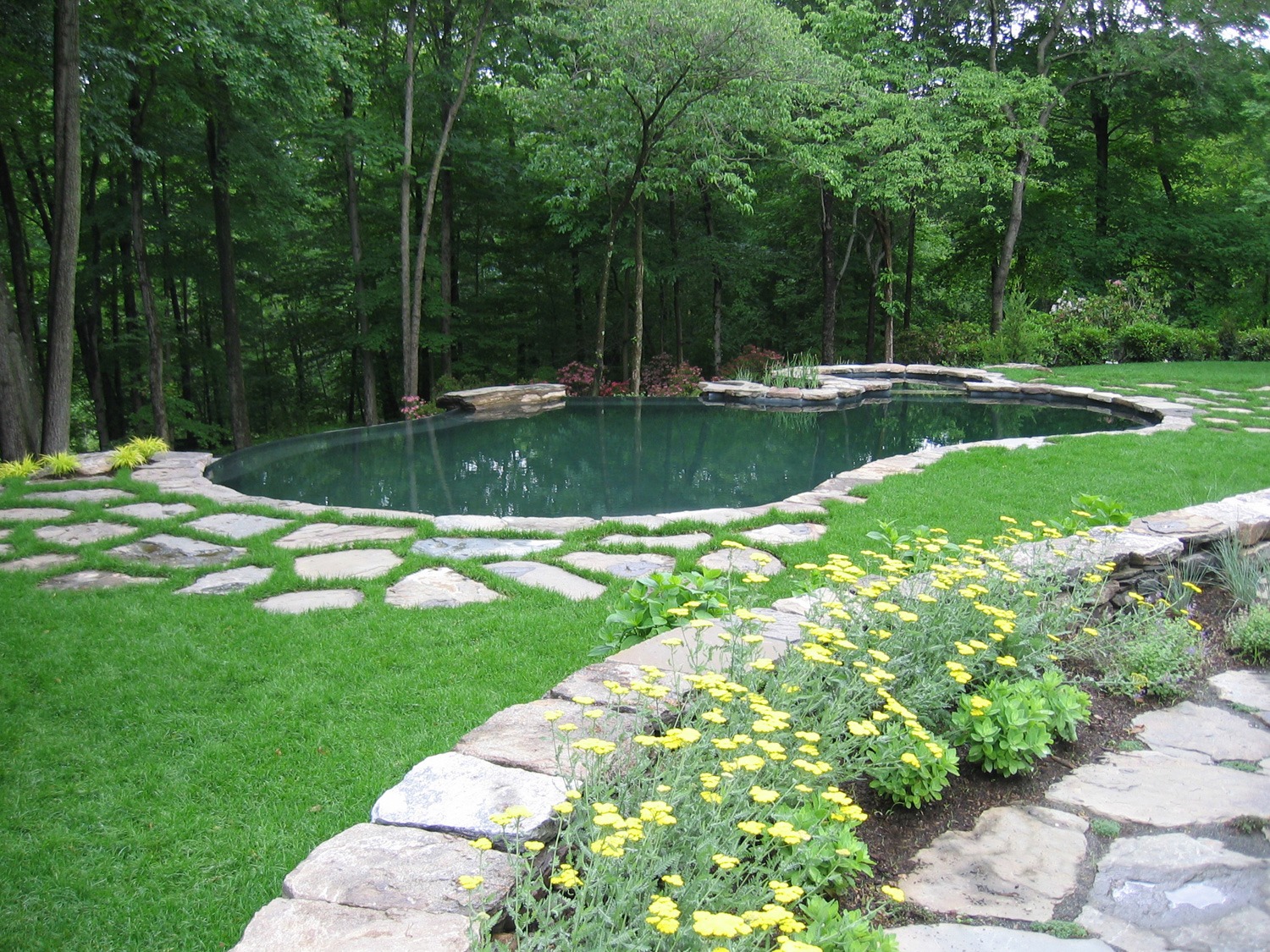 A naturalistic swimming pool with clear water is surrounded by lush greenery, stone paths, and flowering plants, creating a serene backyard oasis.