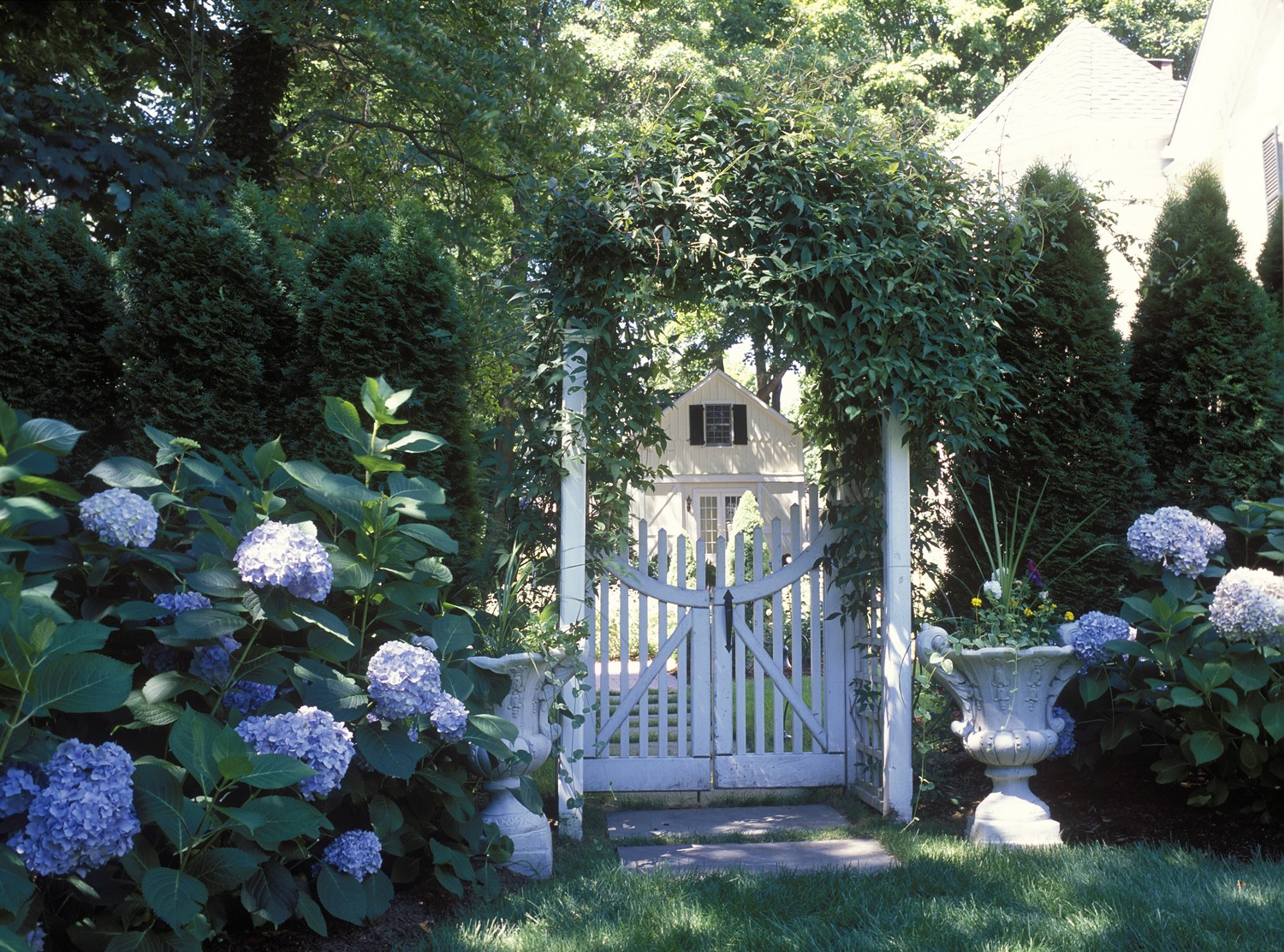 A charming garden gate flanked by lush hydrangeas and ivy-covered arches leads to a yard with a quaint, pale house in the background.