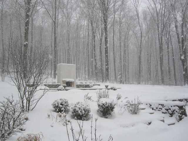 A snowy scene with trees, a bench, and shrubs, all covered in snow. It appears peaceful and cold, with snowfall visibly continuing.