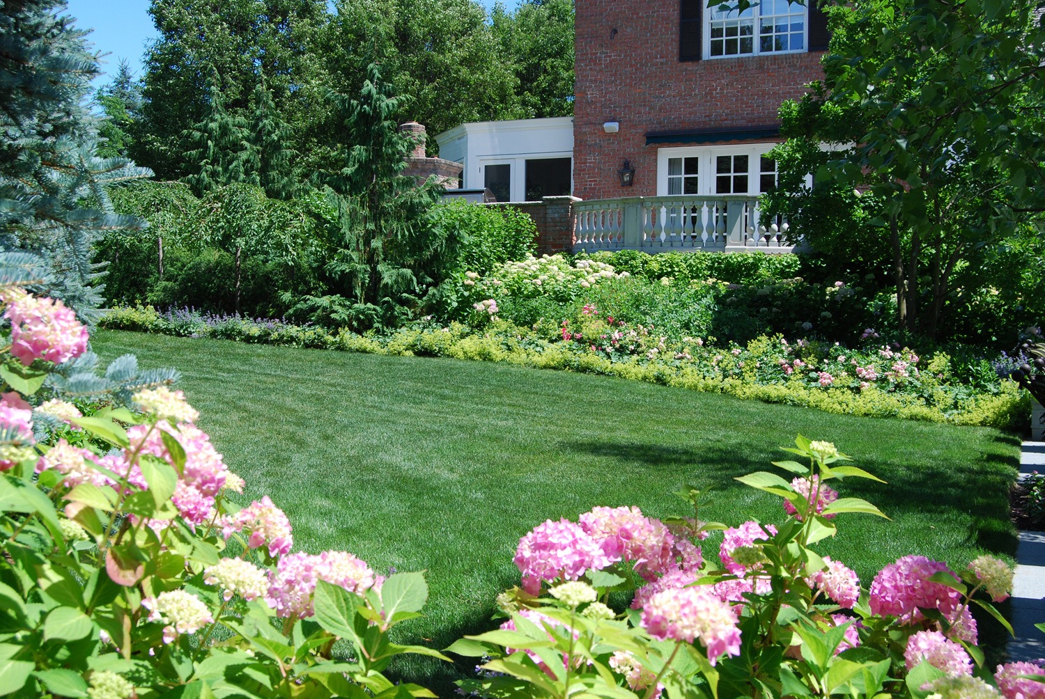 This image shows a well-manicured garden with vibrant hydrangea flowers, a lush green lawn, and a brick house with white trim in the background.