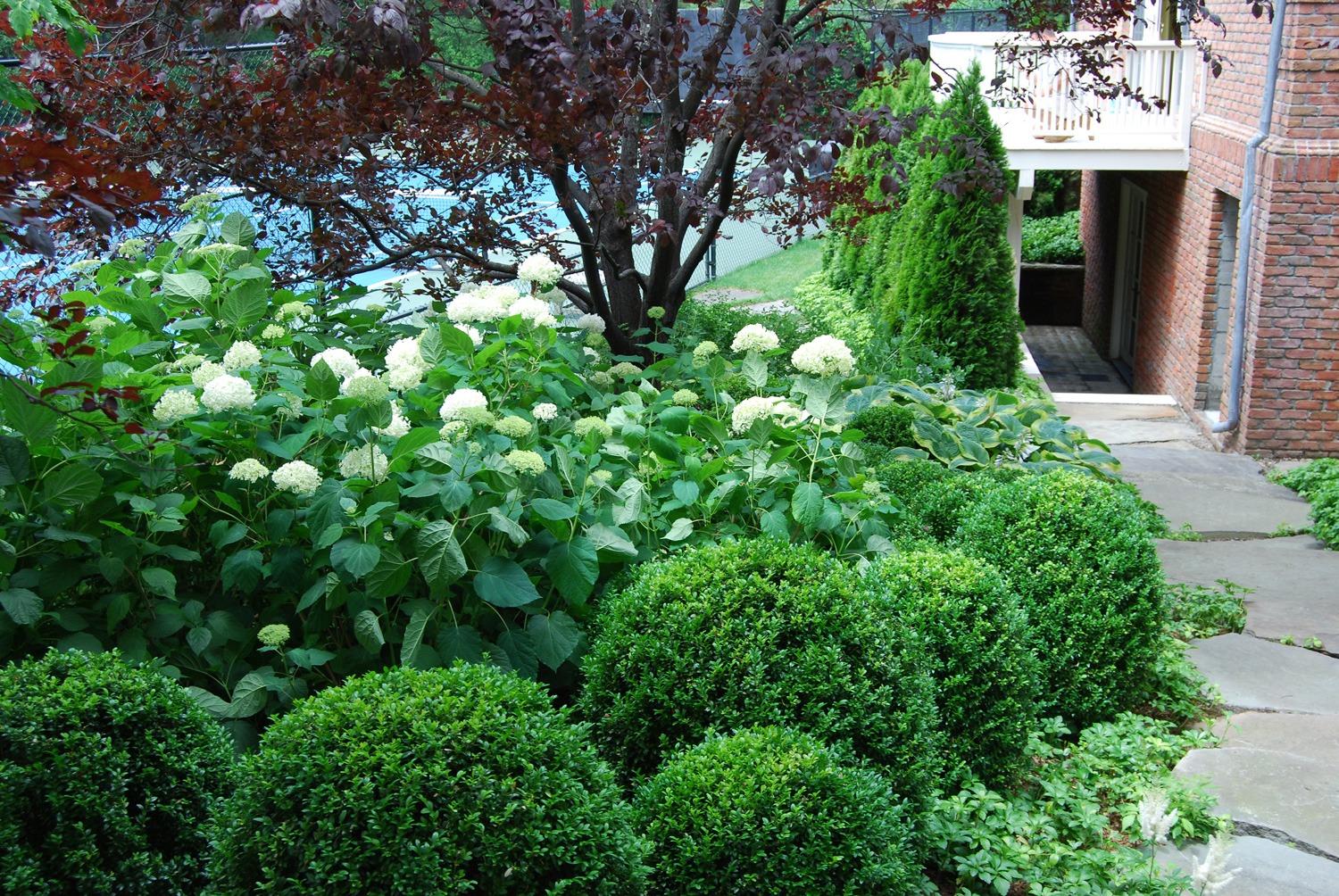 A lush garden path with hydrangeas and sculpted hedges leading to a brick building with a balcony, embraced by mature trees.