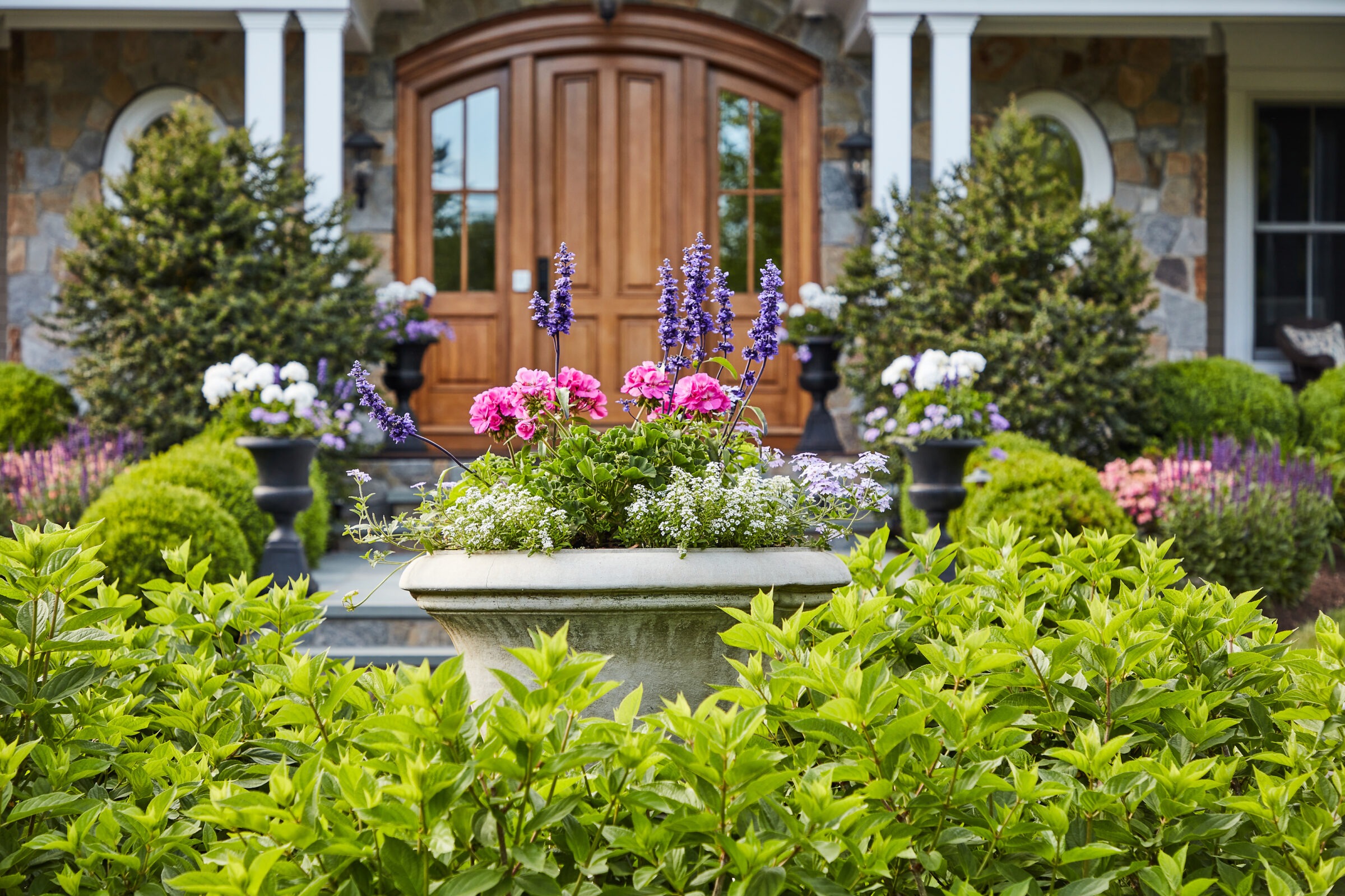 A lush garden with vibrant flowers in front of a stone house with a wooden door, framed by green shrubs and ornamental urns.