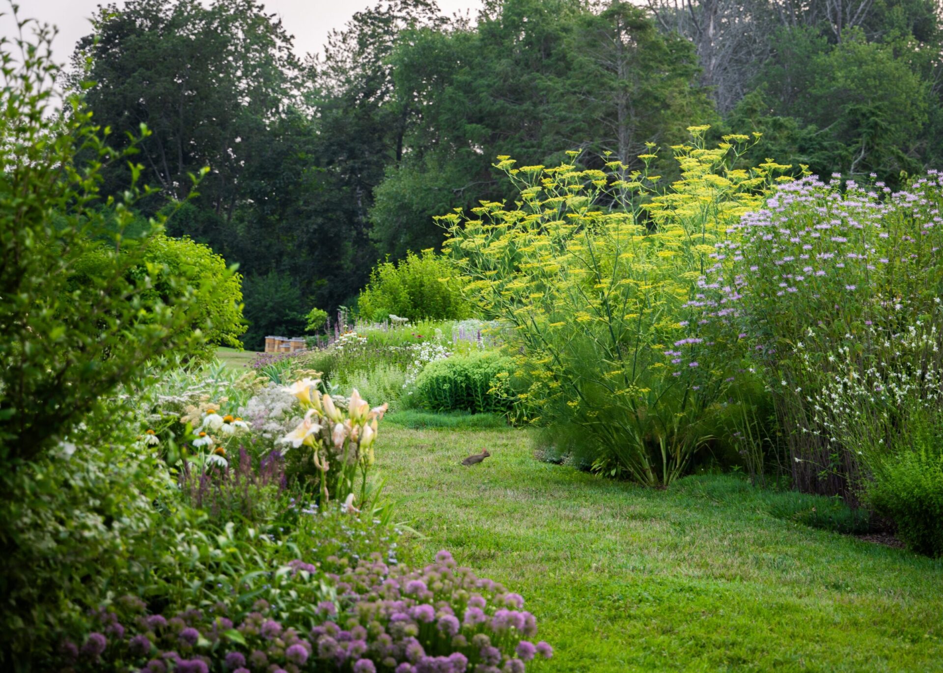 A lush garden with various flowers and plants in bloom, a mowed lawn in the foreground, and dense trees in the background.