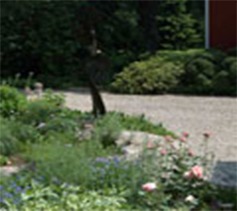 A person stands amidst lush greenery in a garden with a variety of flowers, the image slightly blurred, conveying a calm, peaceful outdoor setting.