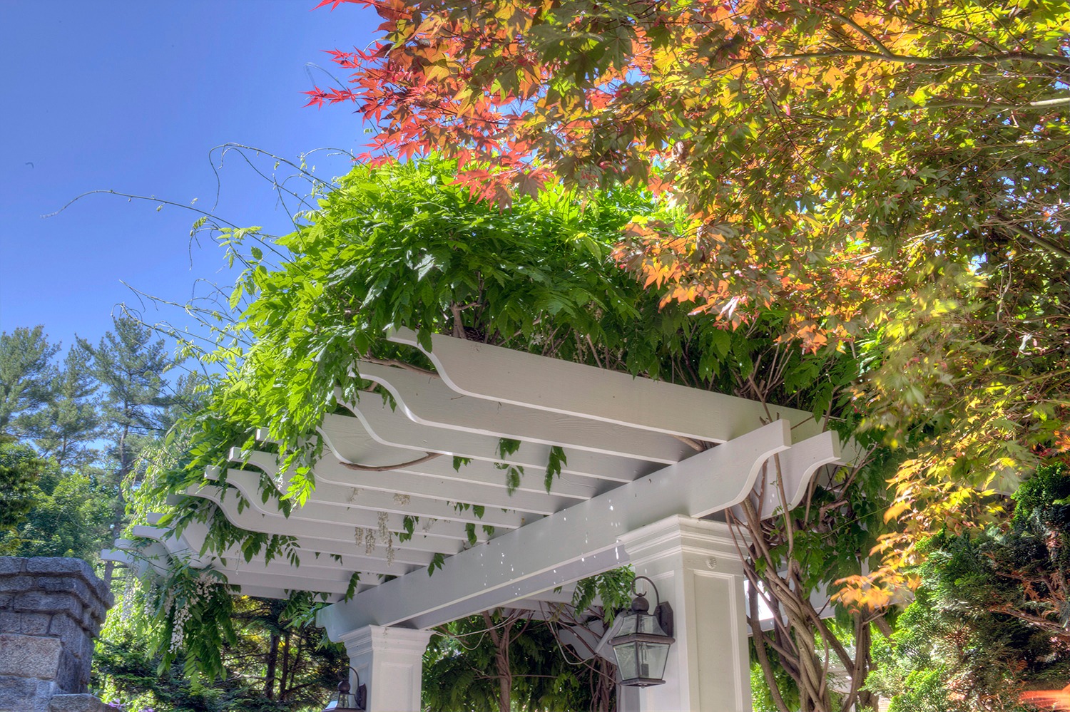 A white pergola adorned with creeping greenery and turning autumn leaves stands under a clear blue sky, flanked by trees with a stone pillar visible.