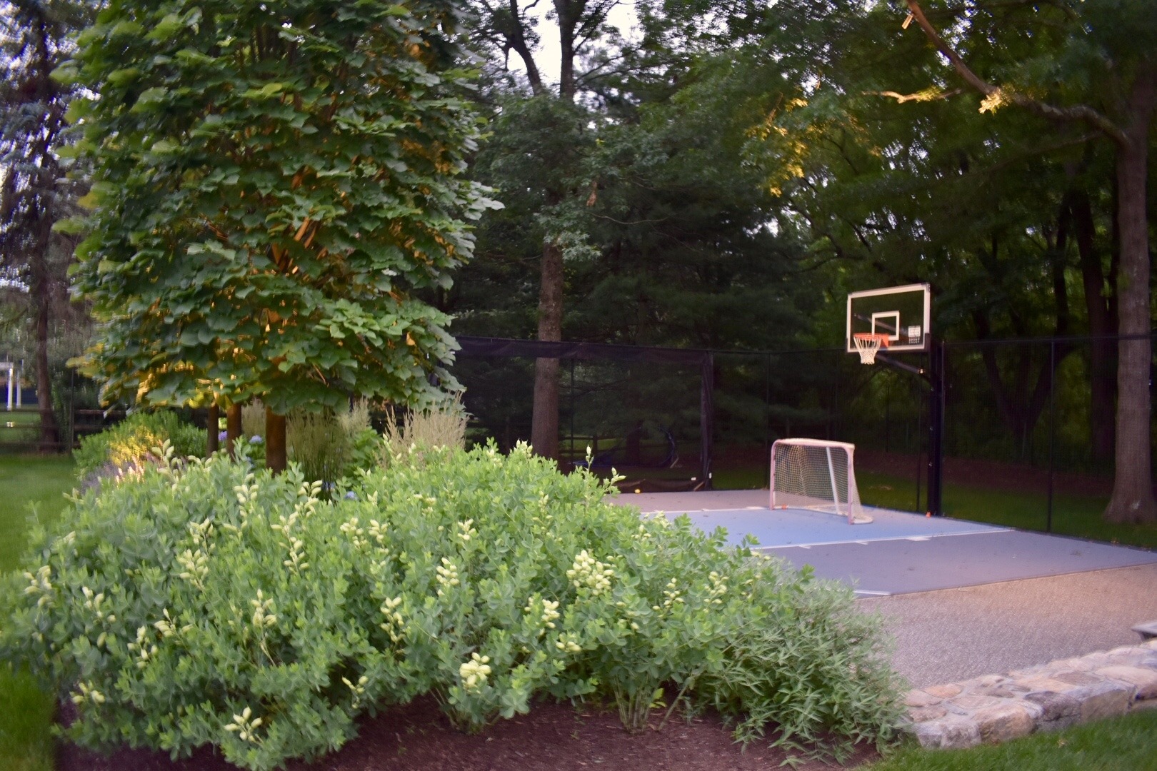 An outdoor recreational area with a basketball hoop on a paved court, surrounded by lush greenery and trees, during dusk or early evening.