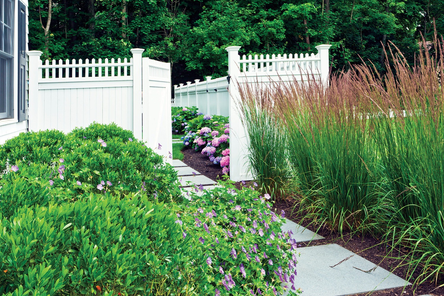 A well-manicured garden featuring a white picket fence, hydrangea bushes, tall grasses, purple flowers, and a partial view of a house.