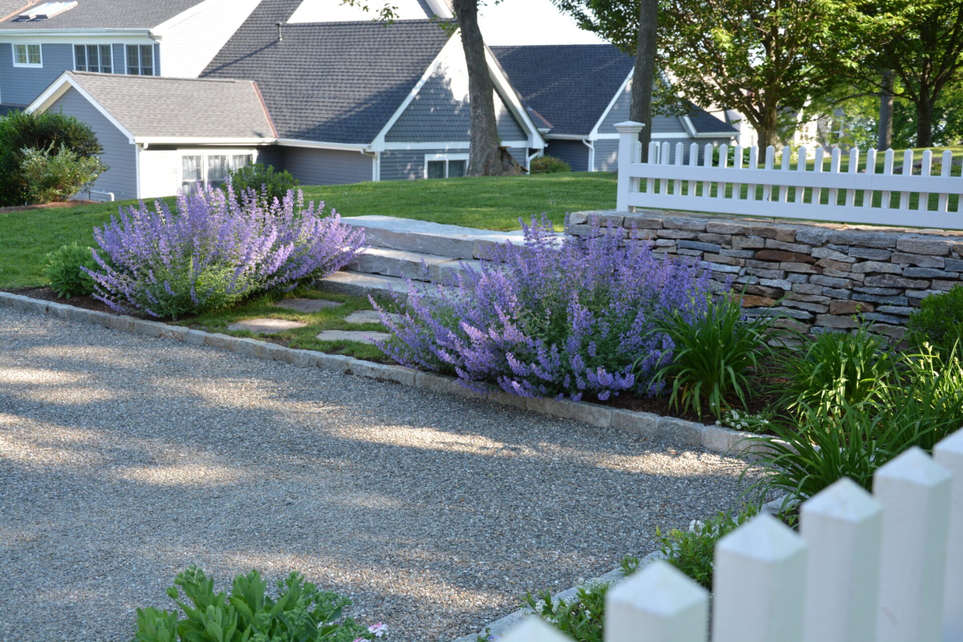 A suburban setting with a gravel driveway, flowering shrubs, stone retaining wall, white picket fence, and houses in the background on a sunny day.