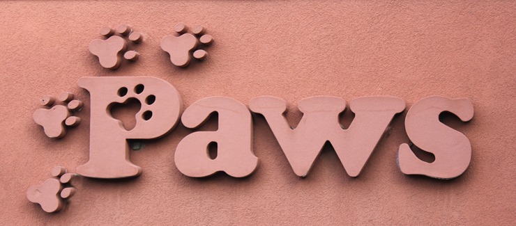 The image shows the word "paws" in large, three-dimensional letters, with an animal paw print design replacing the 'a', mounted on a pinkish wall.