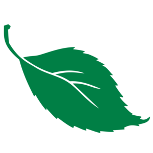 This image displays a single, stylized green leaf with a visible vein pattern, set against a solid dark green background.
