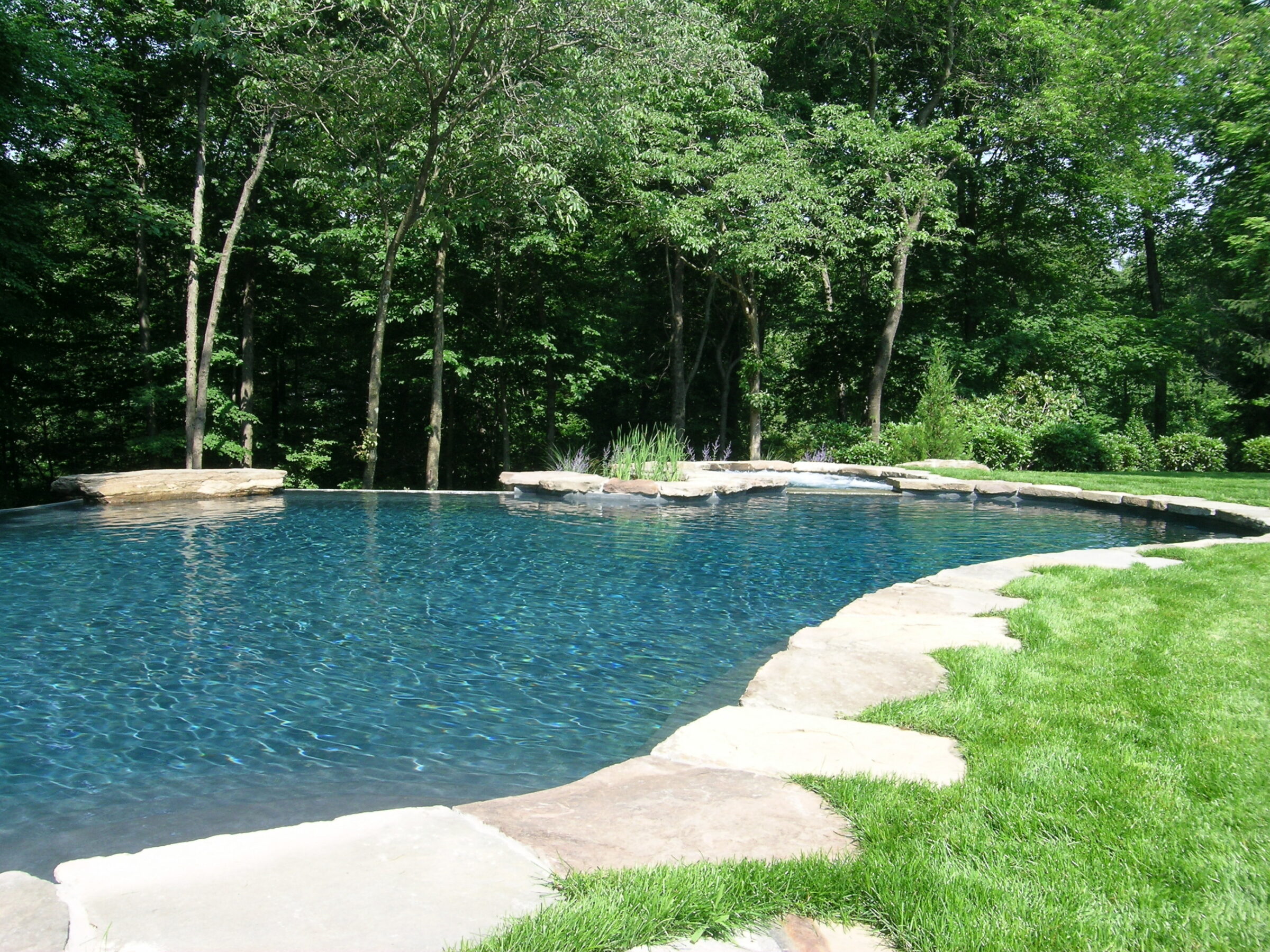 A serene backyard with a large, natural-looking swimming pool surrounded by lush greenery and trees, featuring a stone edge and clear blue water.