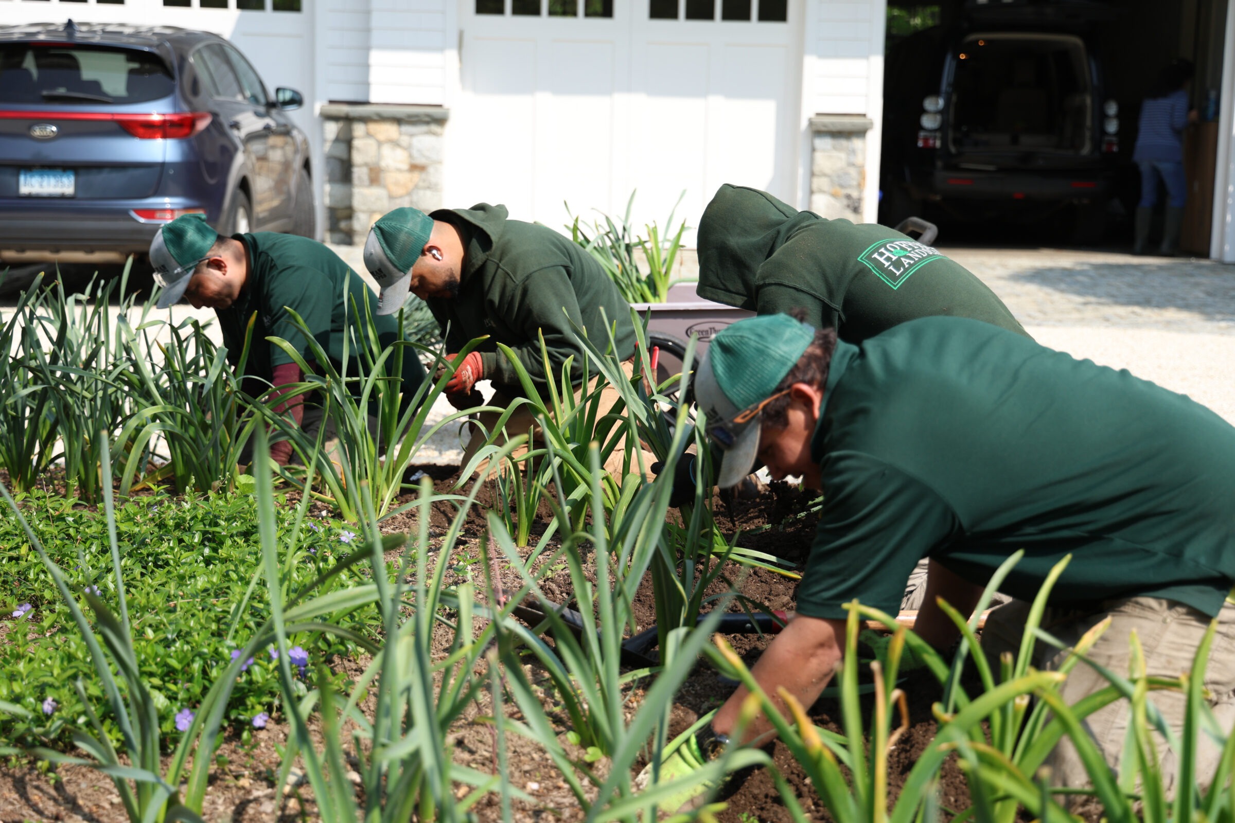 Three people in green uniforms are gardening outside a house with a garage and vehicles visible in the background. They appear focused on their work.