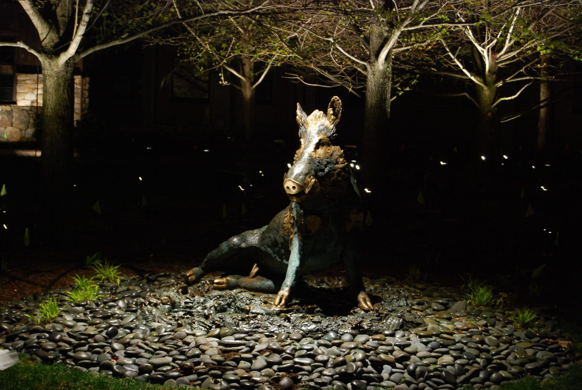 A bronze statue of a wild boar sits among smooth pebbles, illuminated at night by overhead lights, with dark trees and a building in the background.