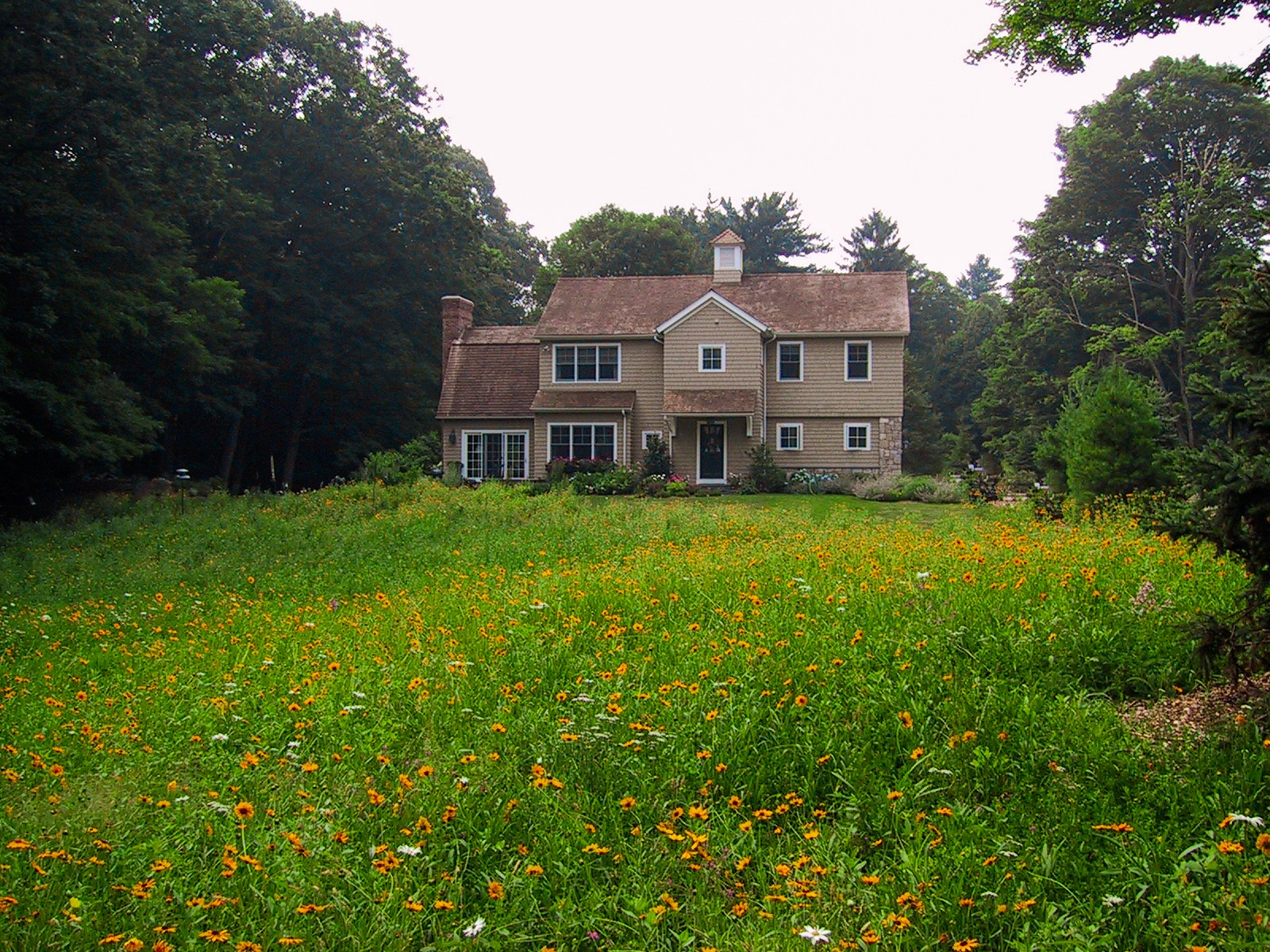 A traditional two-story house with a shingled exterior is nestled among lush trees with a field of wildflowers in the foreground.