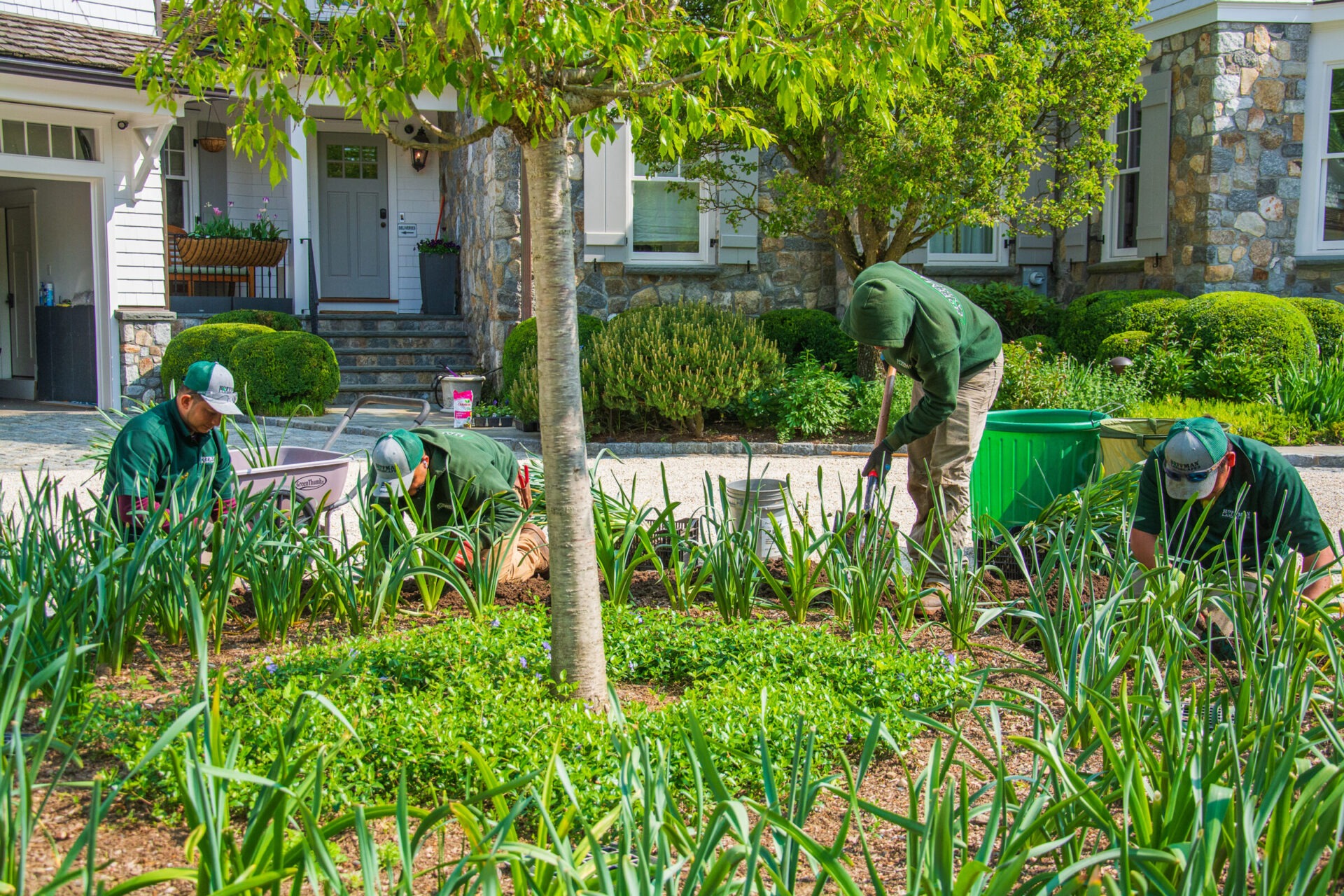 Four people in green uniforms are landscaping in front of a house with stone elements. They are planting, tending to vegetation, and using garden tools.