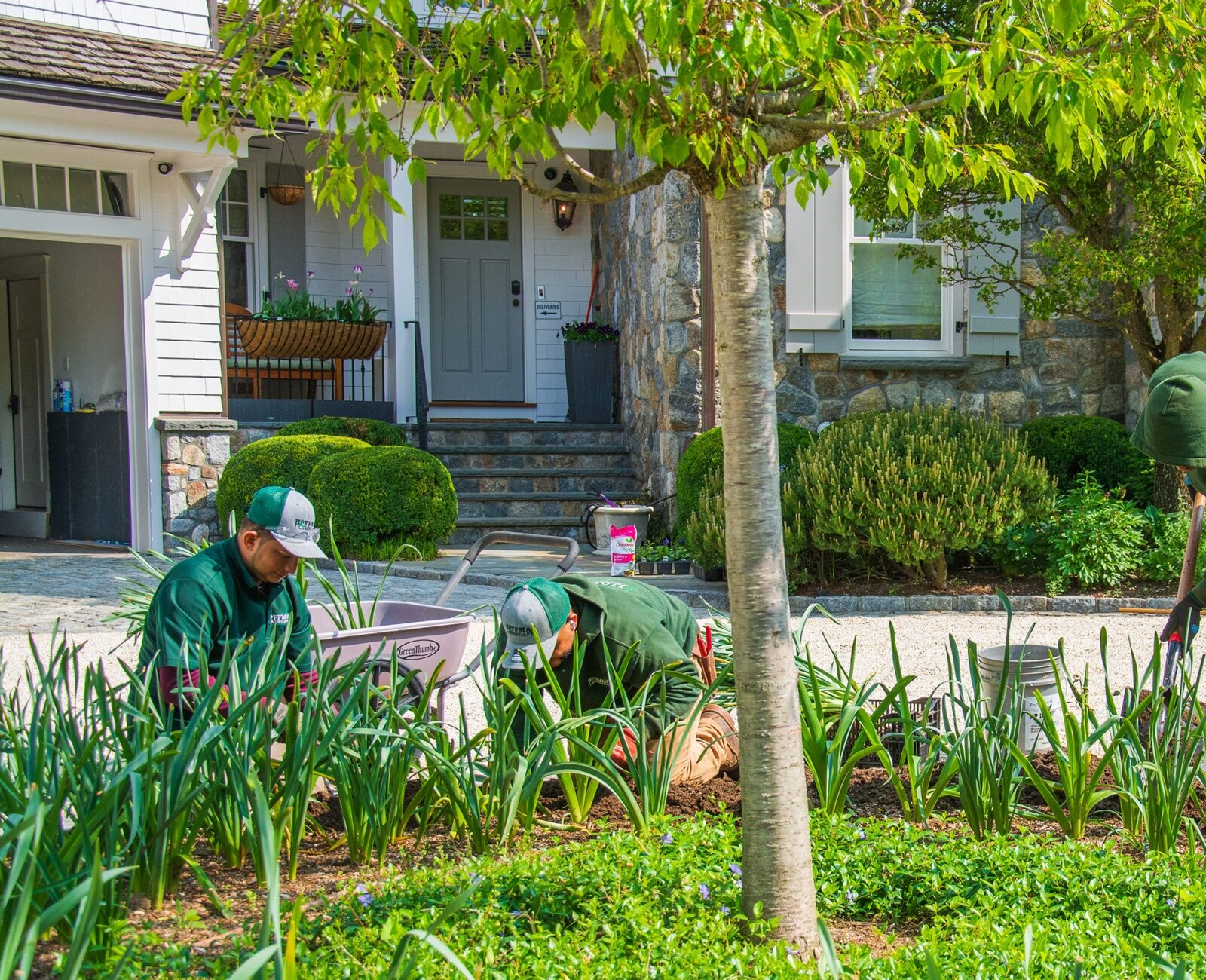 Four people in green uniforms are landscaping in front of a house with stone elements. They are planting, tending to vegetation, and using garden tools.