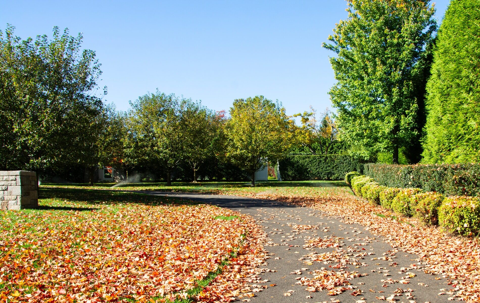 This is an autumnal scene featuring a walking path littered with fallen leaves, surrounded by trees and hedges under a clear blue sky.