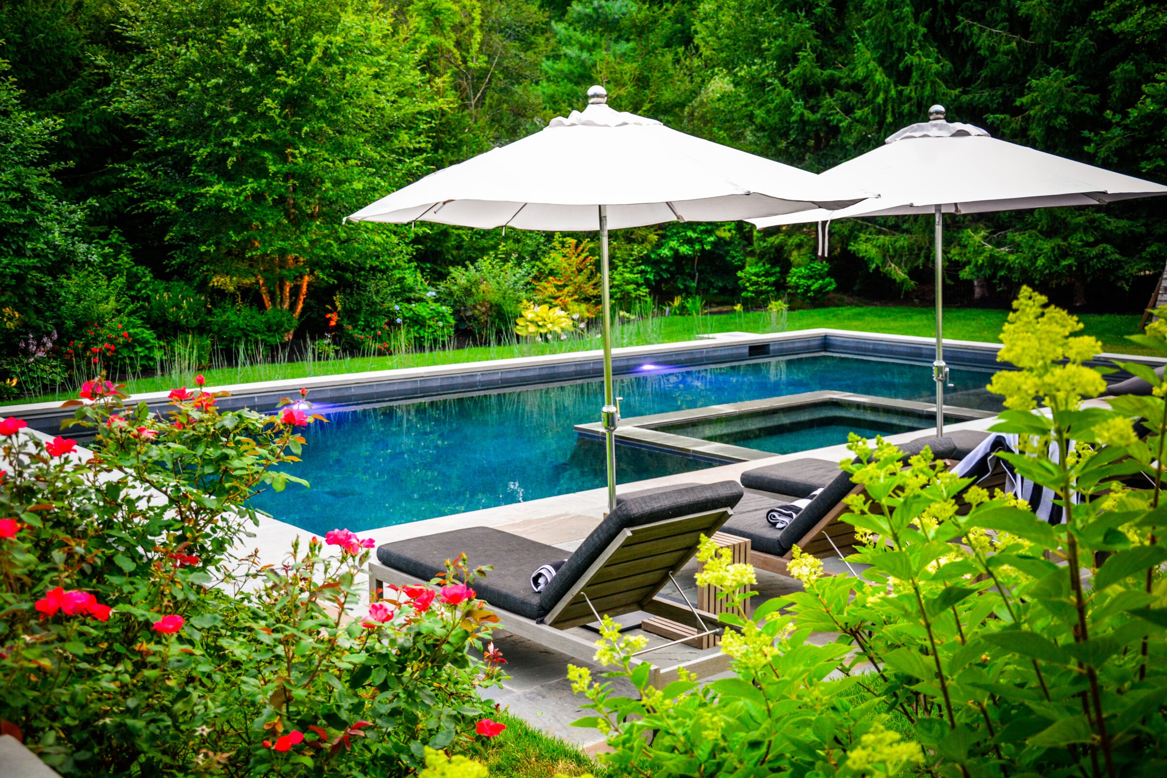 This image features a luxurious backyard with a rectangular pool, two white umbrellas, sun loungers, and vibrant greenery all around.