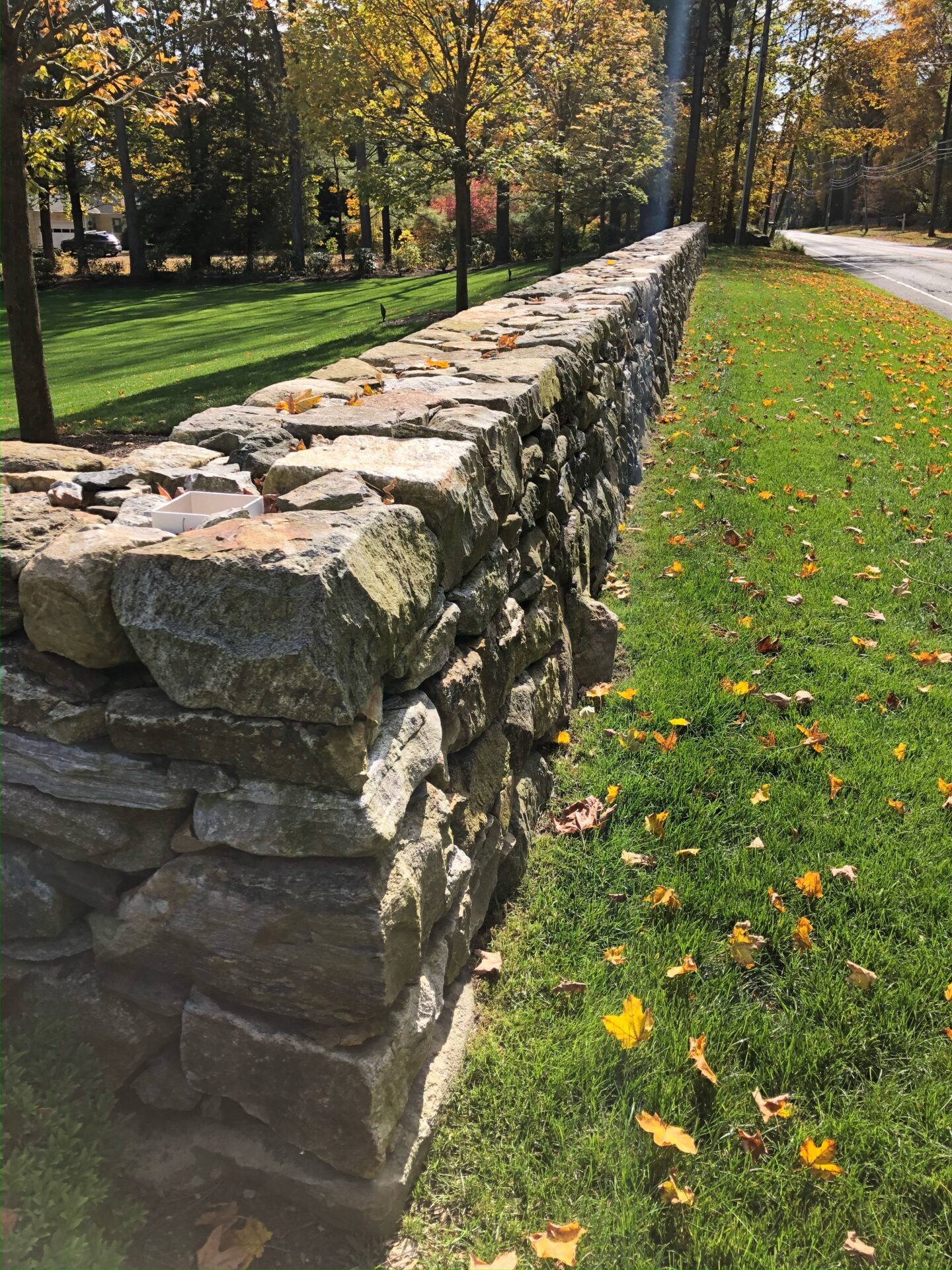 A stone wall stretches alongside a road with a grassy verge. Autumn leaves dot the ground under a bright, sunny sky. Trees display fall colors.