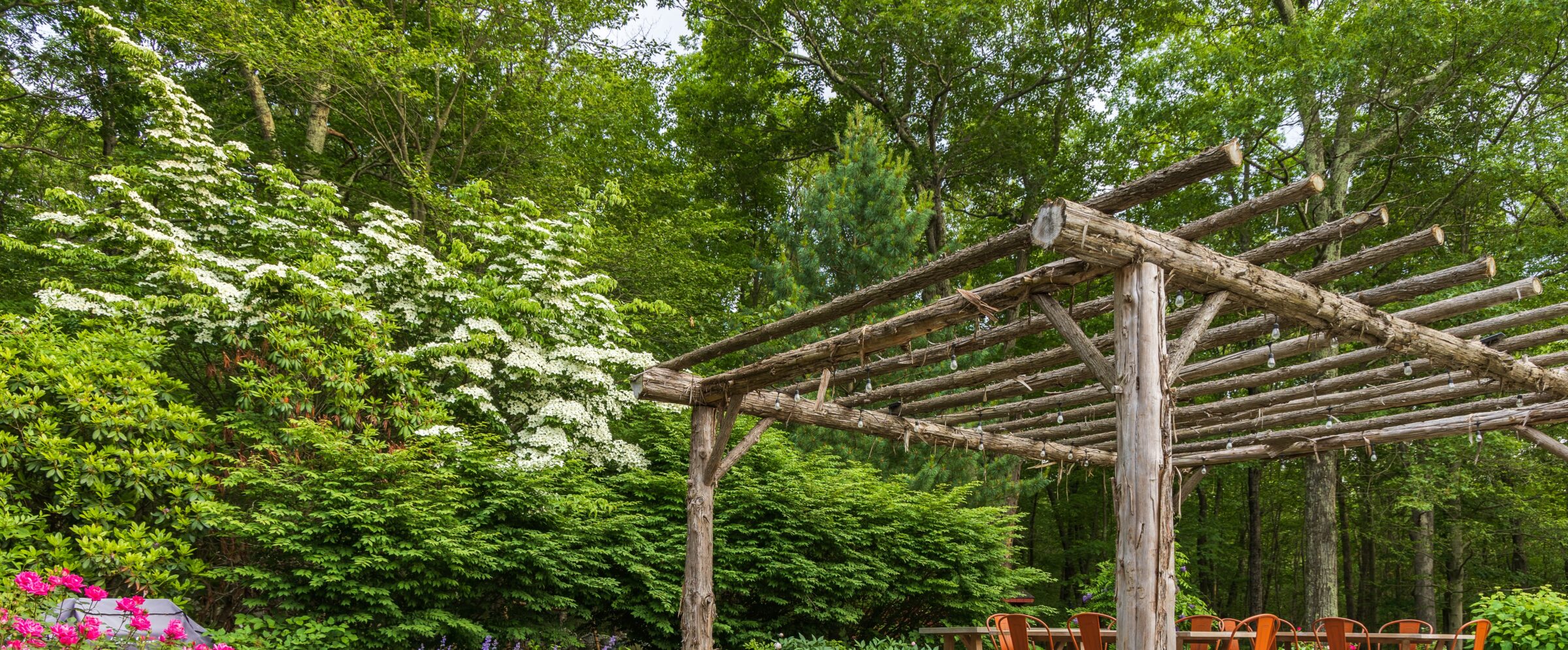 A wooden pergola stands before a lush backdrop of flowering shrubs, trees, and bright pink flowers, with a set of orange chairs to the side.