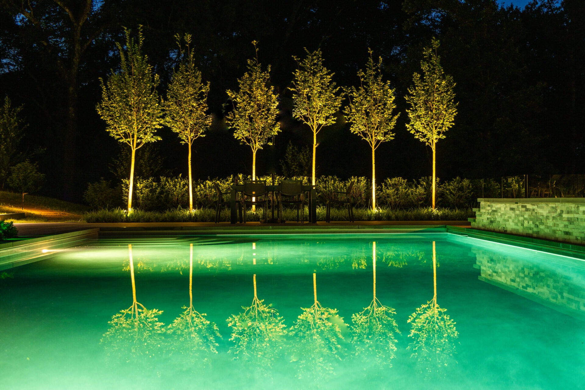 Modern backyard pool at night with glowing underwater lights and a row of evenly spaced trees beautifully uplighted, casting reflections on the still water.