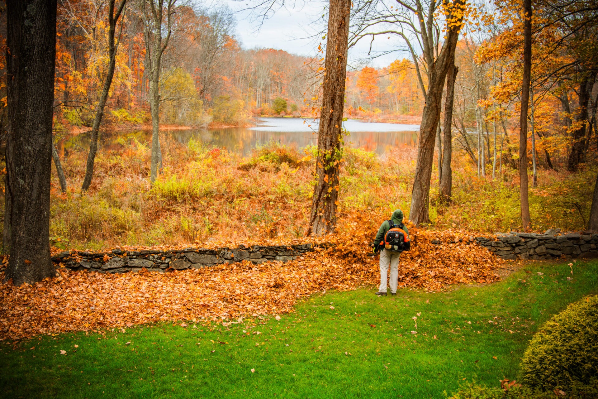 A team member helping with fall leaf cleanup.