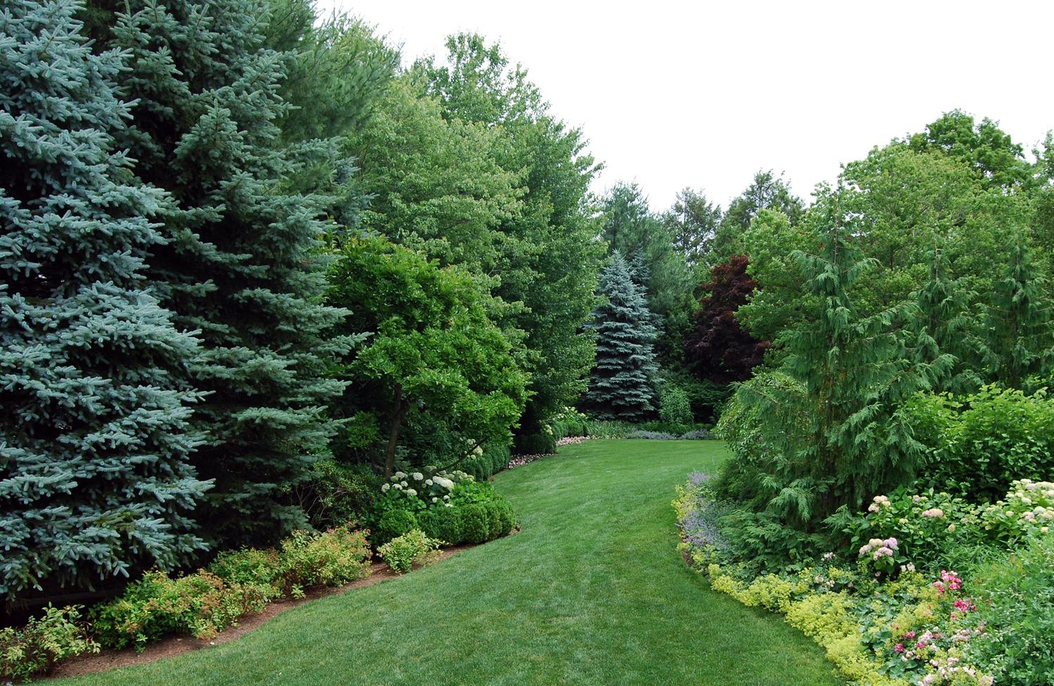Curved lawn bordered by mature trees, shrubs, and layered softscaping in a private residential property