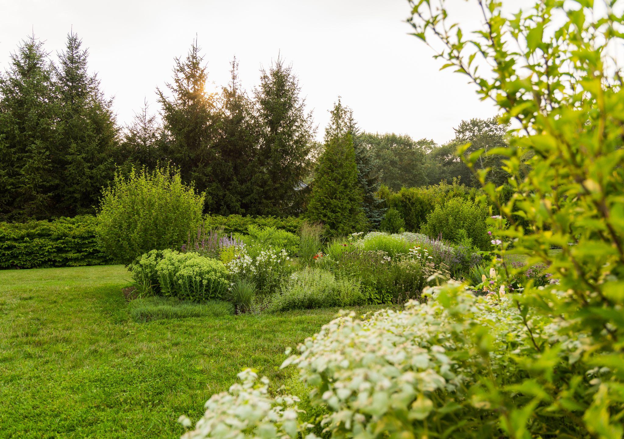 Expansive residential landscape with naturalized planting design, layered shrubs, perennials, and open lawn areas