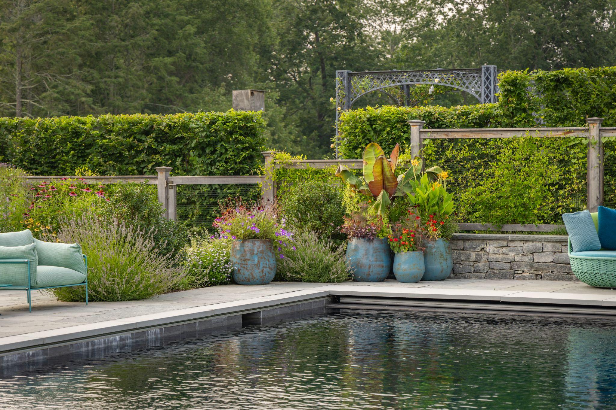 Poolside seating area enhanced by container planting, perennial beds, and structured residential softscaping