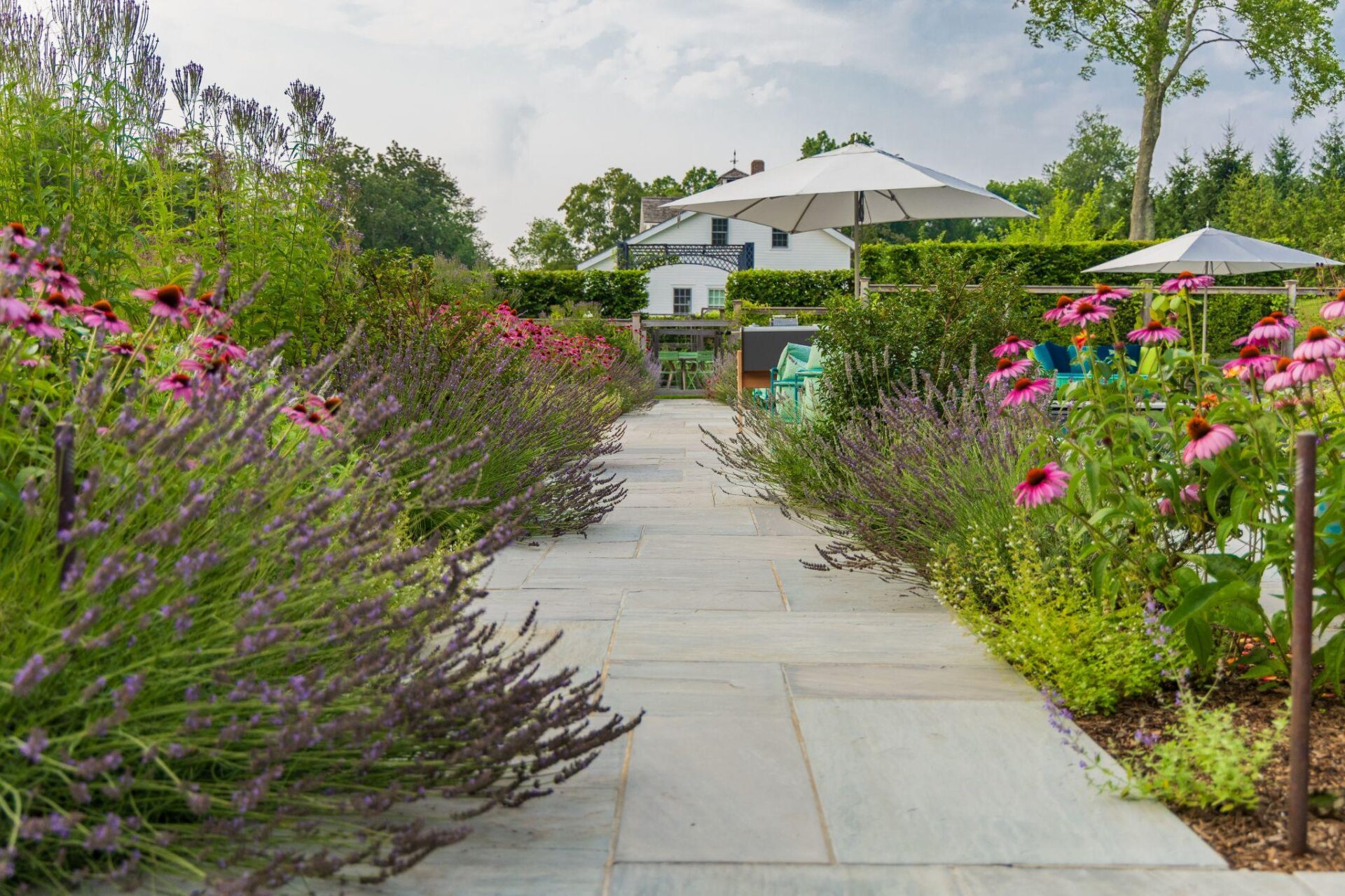 Stone garden path lined with lavender and flowering perennials